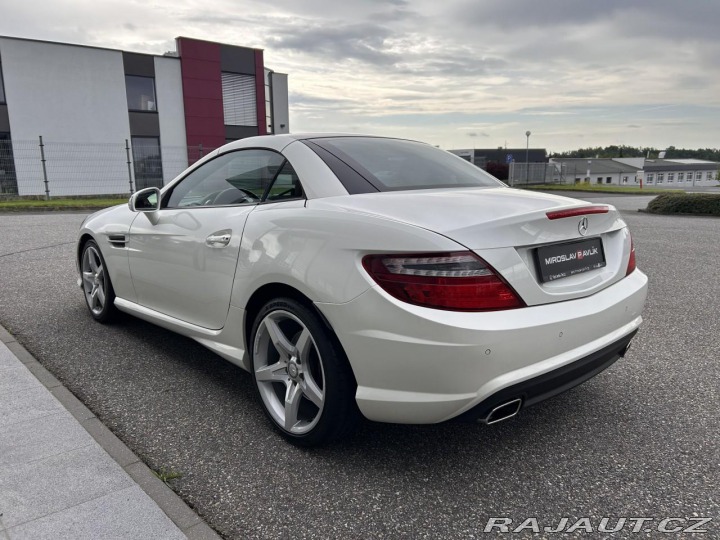 Mercedes-Benz SLK 250 Roadster AMG designo 2013