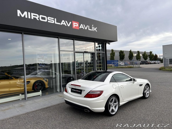 Mercedes-Benz SLK 250 Roadster AMG designo 2013