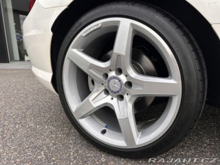 Mercedes-Benz SLK 250 Roadster AMG designo 2013