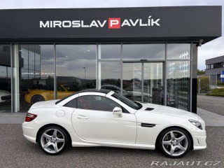 Mercedes-Benz SLK 250 Roadster AMG designo 2013