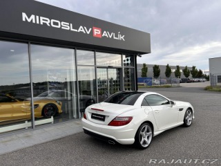 Mercedes-Benz SLK 250 Roadster AMG designo 2013