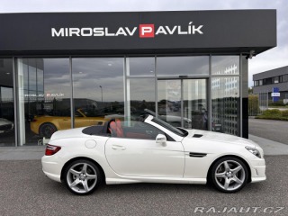 Mercedes-Benz SLK 250 Roadster AMG designo 2013