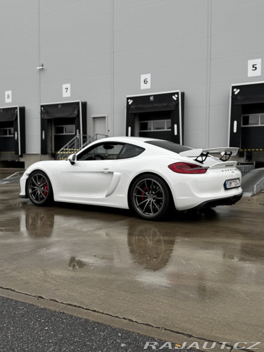 Porsche Cayman GT4 Clubsport, Approved
