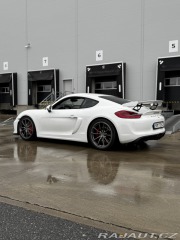 Porsche Cayman GT4 Clubsport, Approved