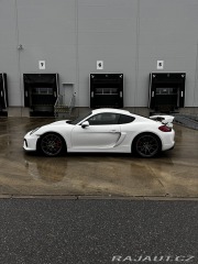 Porsche Cayman GT4 Clubsport, Approved 2016