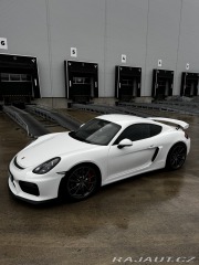 Porsche Cayman GT4 Clubsport, Approved 2016