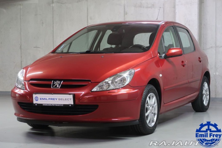 Peugeot 307 2004