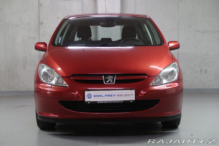 Peugeot 307 2004