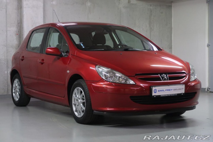 Peugeot 307 2004