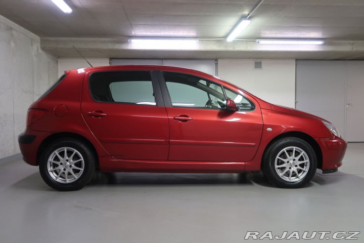 Peugeot 307 2004