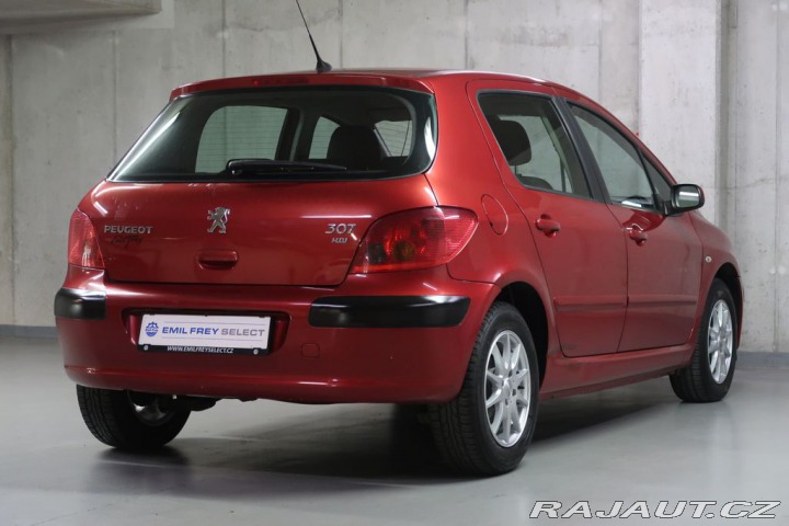 Peugeot 307 2004