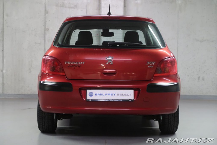 Peugeot 307 2004