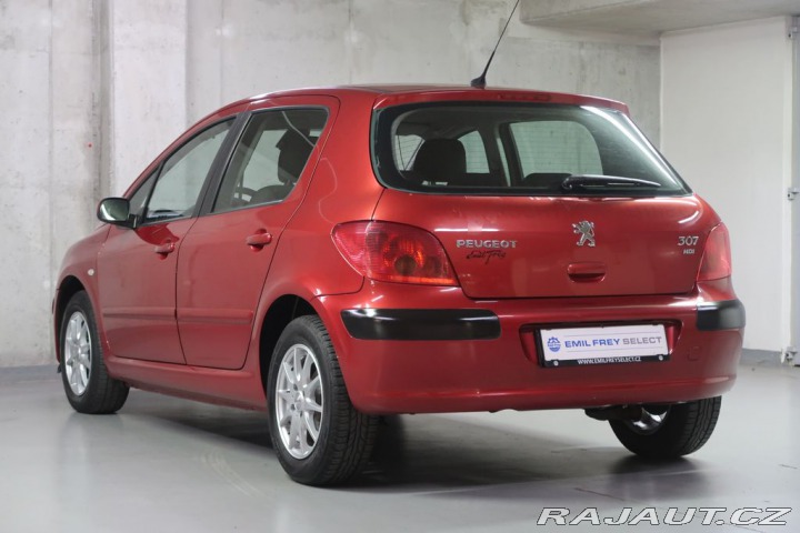 Peugeot 307 2004