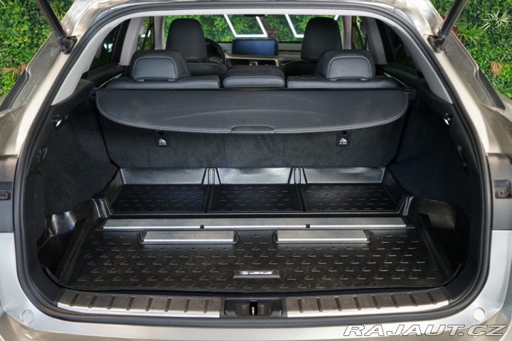 Lexus Ostatní modely RX 300 4X4*CVT*LIMITED*DRCC 2022