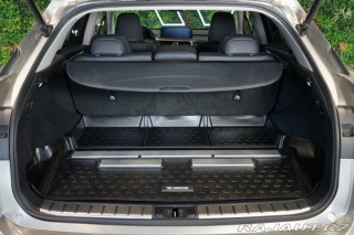 Lexus Ostatní modely RX 300 4X4*CVT*LIMITED*DRCC 2022