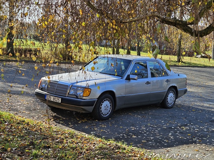 Mercedes-Benz 124 300D 1991