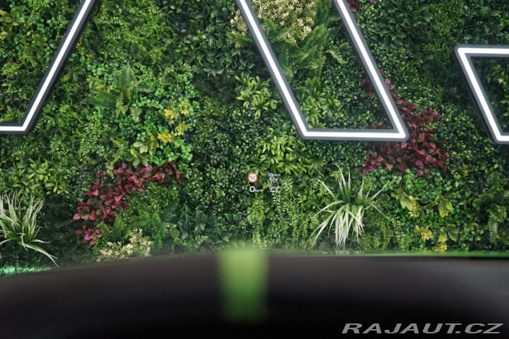 Audi RS3 SPORTBACK*SONOS*360*MATRI 2025