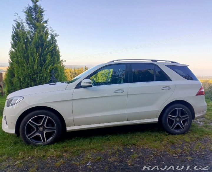 Mercedes-Benz M 350 Bluetec 4matic (W166) 2012