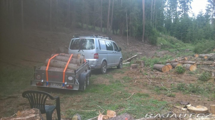 Volkswagen Ostatní modely 4motion Allroad, 96kW 2006