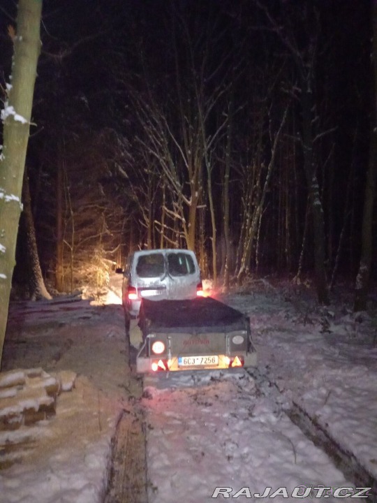Volkswagen Ostatní modely 4motion Allroad, 96kW 2006