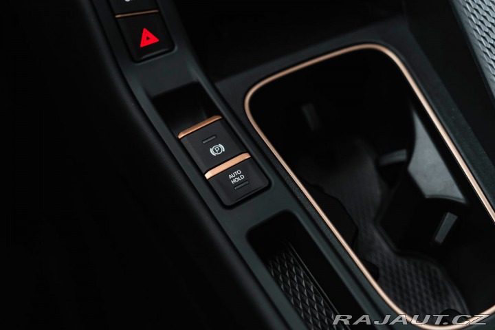 Cupra Ostatní modely 2.0 TSI 195 kW 4Drive VZ, 2024