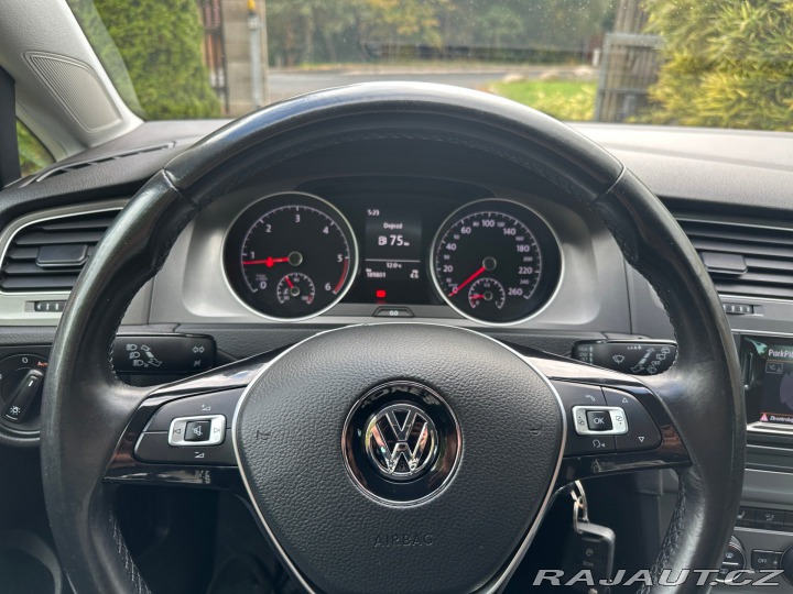 Volkswagen Golf 1.6Tdi 77kw 2013