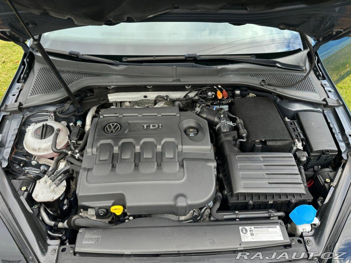 Volkswagen Golf 1.6Tdi 77kw 2013