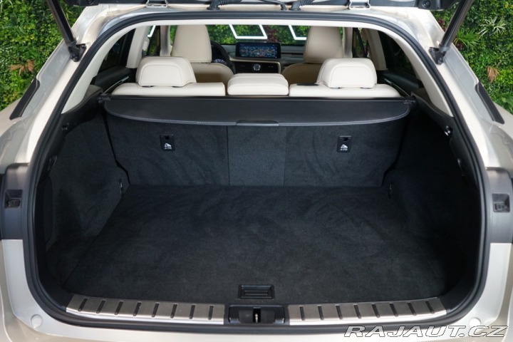 Lexus Ostatní modely RX 300 4X4*CVT*LIMITED*DRCC 2022