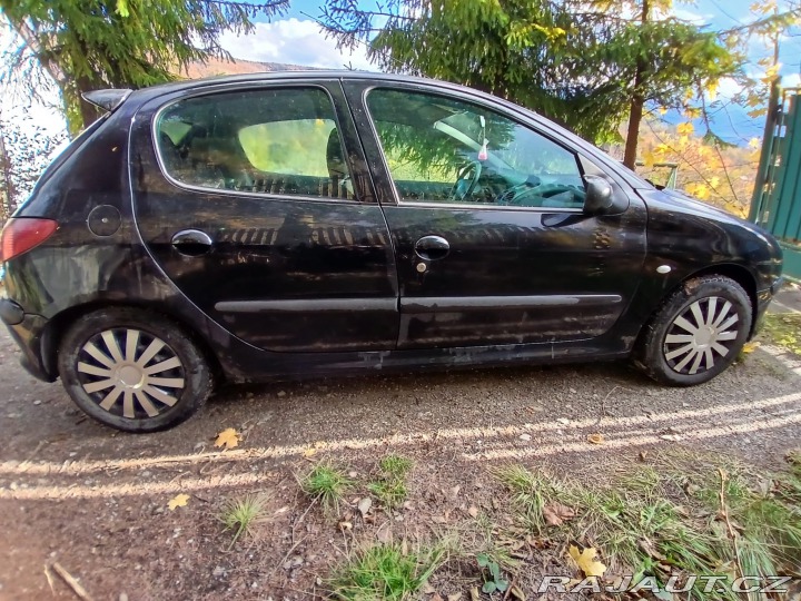 Peugeot 206  2002