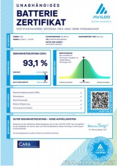 Tesla Model 3 Standard SOH 93,1% 239kW 2021