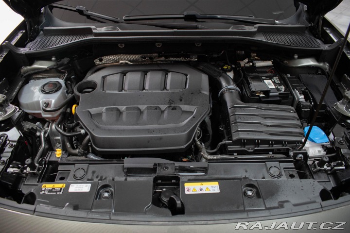 Cupra Formentor 2.0TSI TRIBE Edit*ZÁRUKA 2023