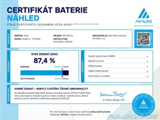Tesla Model 3 Dual Motor Performance 36 2019