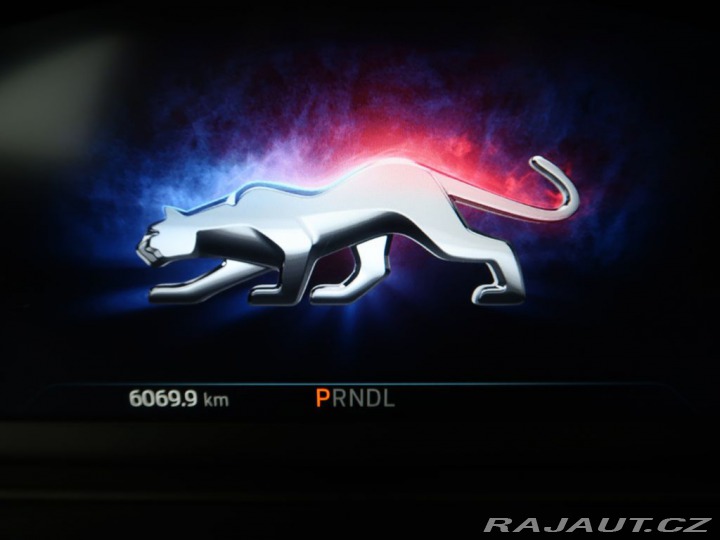 Ford Puma 1.0EcoBoostHybrid114kW,ST 2023