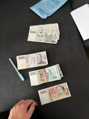 Alfa Romeo 146 Od nápadu k růstu Financu