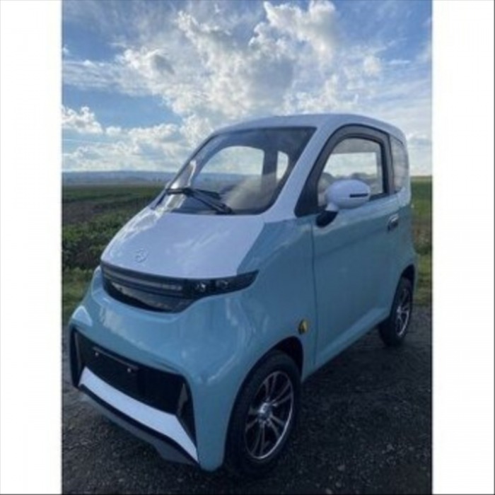 Ostatní značky Ostatní modely elektromobil