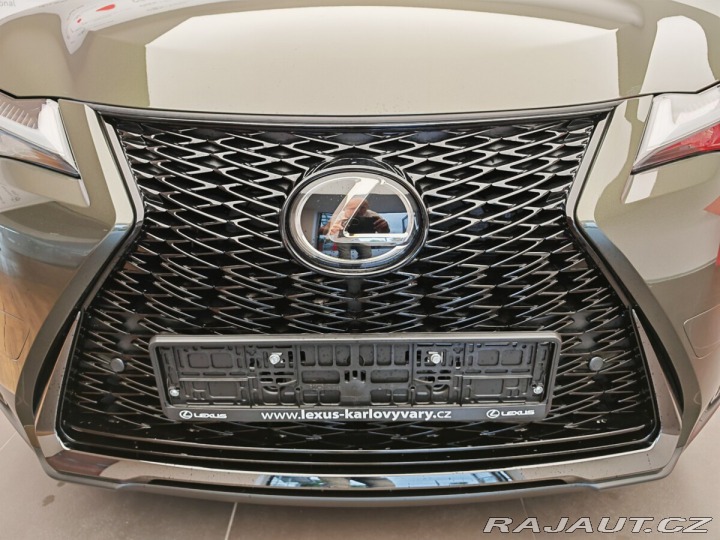 Lexus Ostatní modely UX 300h F Sport Design 300H 2024