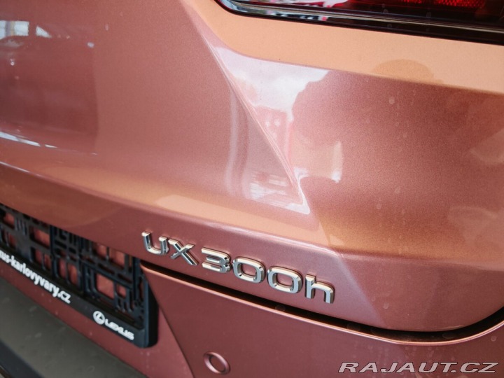 Lexus Ostatní modely UX 300h F Sport Design 300H 2025