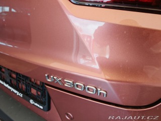 Lexus Ostatní modely UX 300h F Sport Design 300H 2025