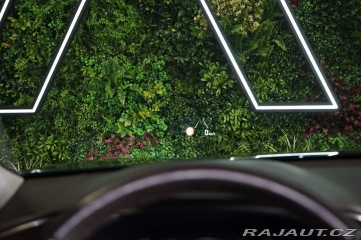 Hyundai Santa Fe 2.2 CRDi*4WD*KRELL*360*PA 2020