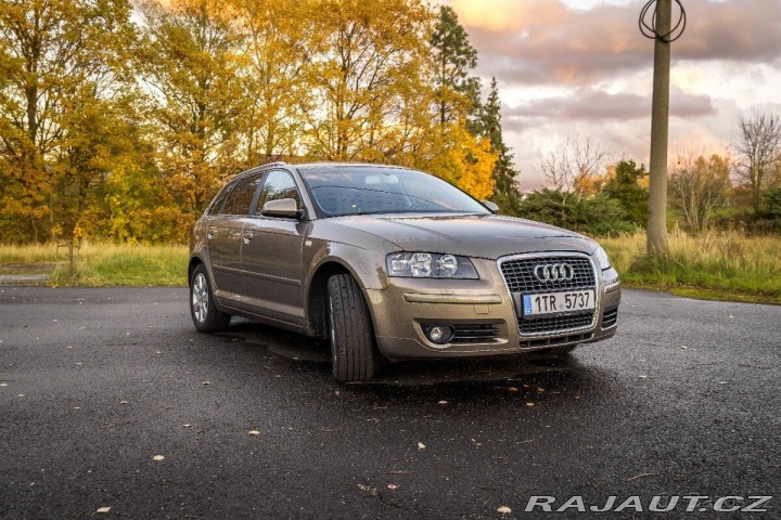 Audi A3 1,6 Fsi rv.2007 2007
