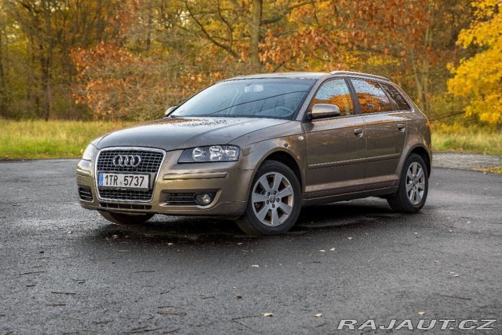 Audi A3 1,6 Fsi rv.2007 2007