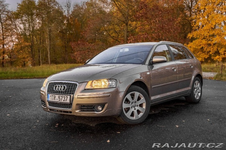 Audi A3 1,6 Fsi rv.2007 2007