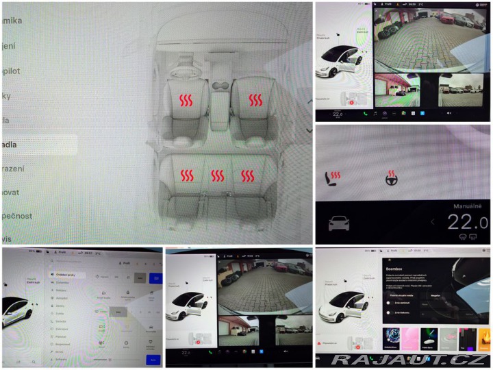 Tesla Model 3 Standard Plus 239 kW SOH 2021