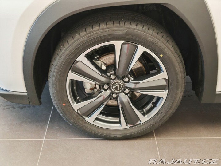 Lexus Ostatní modely UX 300h Business TECH 2024