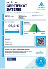 Tesla Model 3 Performance - FSD 377 kW 2020