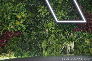 Škoda Octavia RS*2.0 TDI*4X4*LED*DSG*TA 2023