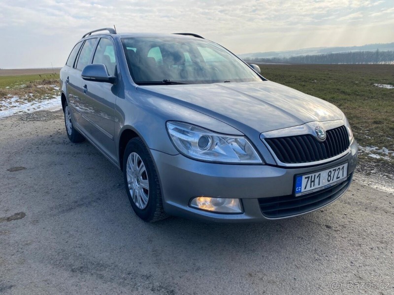 Škoda Octavia 2,0   81KW-upravena na 10