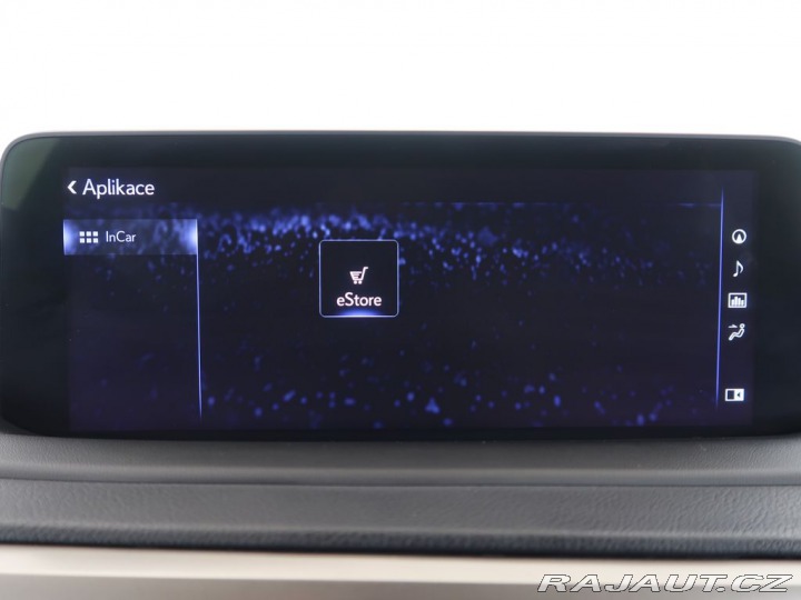 Lexus Ostatní modely RX 300 2.0Turbo,4x4,LimitedEditi 2022