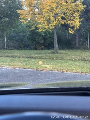 BMW 5 3,0   Touring xDrive 2017