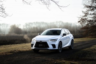 Lexus  RX 450h plus 450h+ 2,5 PHEV F SPORT DE